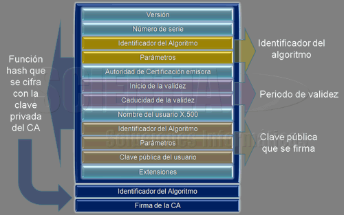 Formato X.509 v3 Formato X.509 v3